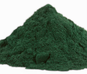 Spirulina