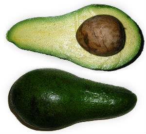 avocado fruit