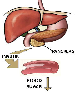 blood sugar