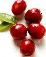 Cranberry and leaf example