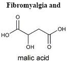 fibromyalgia malic acid link