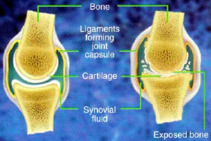 joint diagrams