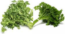 parsley stalks