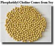 phosphatidyl choline from soy bean