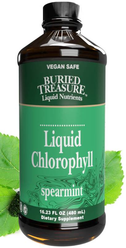 BURIED TREASURE: Liquid Chlorophyll 16 ounce