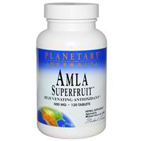 PLANETARY HERBALS: Amla Superfruit 500mg 120 tablet
