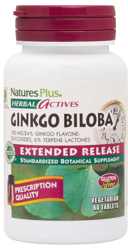 Natures Plus: EXTENDED RELEASE GINKGO BILOBA 120 MG 60 60 ct