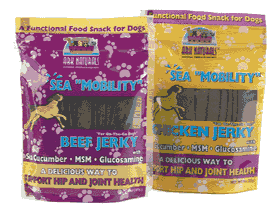 ARK NATURALS: Sea Mobility w-MSM  Gluc  Sea Cucumber - Beef Jerky 22 strips