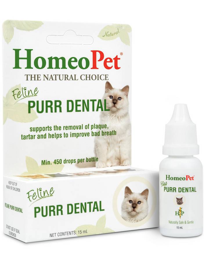 Feline Purr Dental