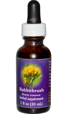 Flower essence: RABBIT BRUSH DROPPER 1OZ