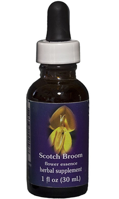 Flower essence: SCOTCH BROOM DROPPER 1OZ