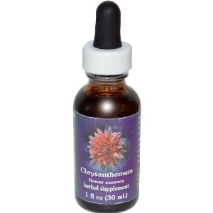 Flower essence: CHRYSANTHEMUM DROPPER 1 OZ