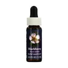 Flower essence: BLACKBERRY DROPPER 0.25OZ