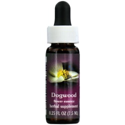 Flower essence: DOGWOOD DROPPER 0.25 OZ
