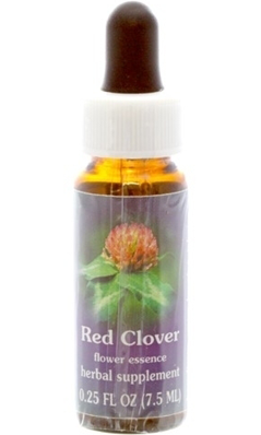 Flower essence: RED CLOVER DROPPER 0.25OZ