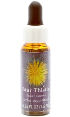 STAR THISTLE DROPPER 0.25OZ from Flower essence