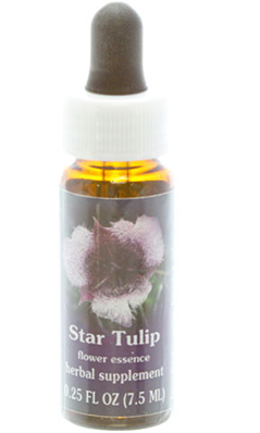 Flower essence: STAR TULIP DROPPER 0.25OZ