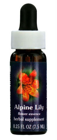 Flower essence: Alpine Lily Dropper 0.25 OZ