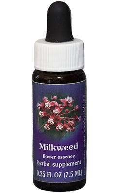 Flower essence: MILKWEED DROPPER 0.25OZ