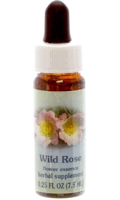 Flower essence: WILD ROSE DROPPER 0.25OZ