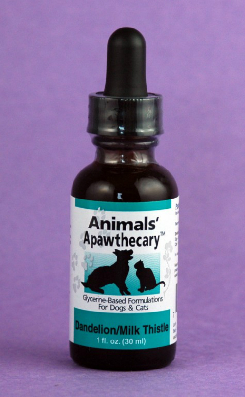 ANIMAL ESSENTIALS INC: Dandelion Milk Thistle Liquid for Dogs & Cats 2 oz
