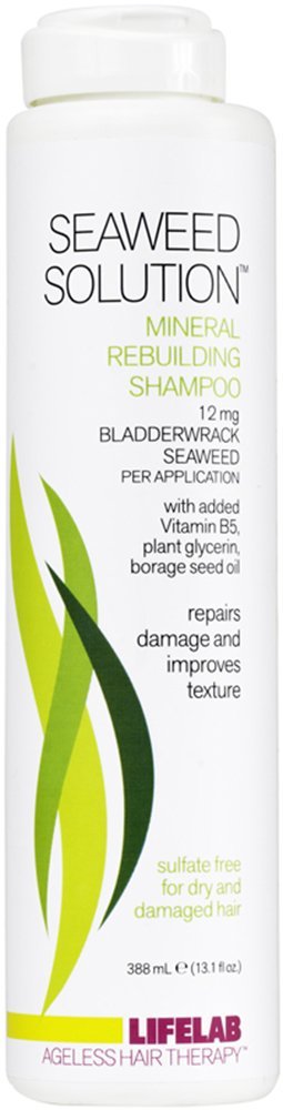 LIFELAB: Healthy Hair Diet Seaweed Solution Shampoo 13.1 oz