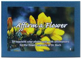 Flower essence: SETOFBACH FLOWER CARDS ENGLISH 39PC