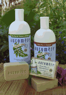 AUROMERE: Shampoo Neem Plus 5 Herb 16 fl oz