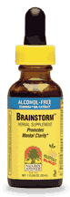 NATURE'S ANSWER: Brainstorm Alcohol Free Extract 1 fl oz