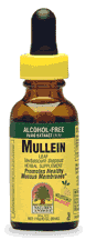 NATURE'S ANSWER: Mullein Leaves Alcohol Free Extract 1 fl oz