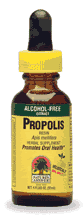 NATURE'S ANSWER: Propolis Alcohol Free 1 fl oz