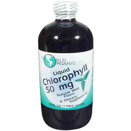 WORLD ORGANICS: Chlorophyll 100mg With Spearmint & Glycerin Liquid 16 fl oz