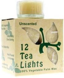 ALOHA BAY: Tealight Unscented Eco-O Cream 12 ct