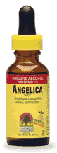 NATURE'S ANSWER: Angelica Root Extract 1 fl oz