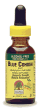 Blue Cohosh Alcohol Free Extract, 1 fl oz