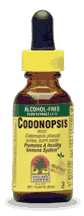 NATURE'S ANSWER: Codonopsis Alcohol Free 1 fl oz