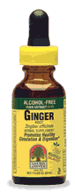 Ginger Root Alcohol Free Extract, 1 fl oz