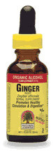 Ginger Root Extract, 2 fl oz