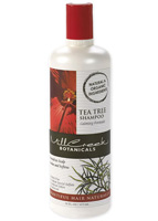 MILL CREEK BOTANICALS: Tea Tree Shampoo 16 oz