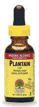 NATURE'S ANSWER: Plantain Leaves Extract 1 fl oz