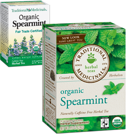 TRADITIONAL MEDICINALS TEAS: Organic Spearmint 16 bags
