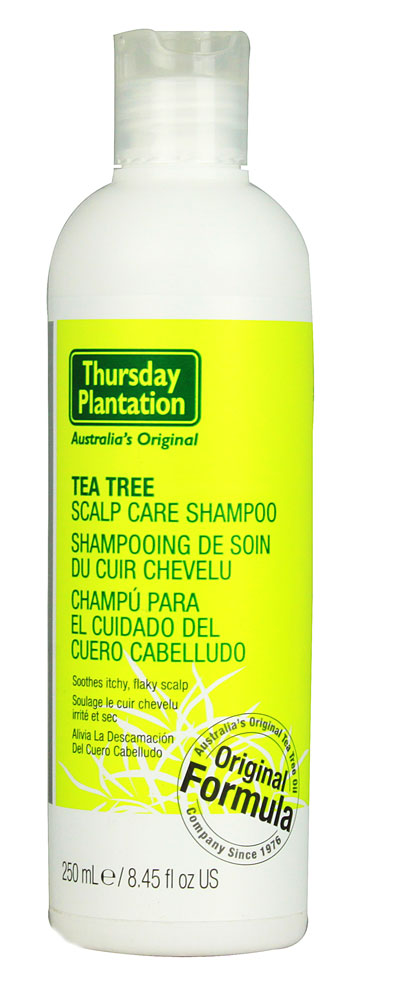 Natures Plus: Tea Tree Scalp Care Shampoo 8.45 fl oz / 250ml