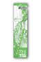 XYLIVITA: Key Lime Green Soft Toothbrush 1 ea Brush