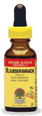 NATURE'S ANSWER: Bladderwrack Extract 1 fl oz