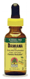 NATURE'S ANSWER: Damiana Leaves Alcohol Free Extract 1 fl oz