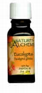NATURE'S ALCHEMY: Pure Essential Oil Eucalyptus 2 oz