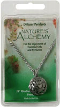 NATURE'S ALCHEMY: Irish Cladda Diffuser Necklace 1 pc