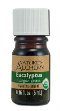 NATURE'S ALCHEMY: Organic Essential Oil Eucalyptus 5 ml