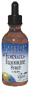 PLANETARY HERBALS: Echinacea-Elderberry Syrup 4 fl oz