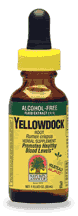 NATURE'S ANSWER: Yellow Dock Alcohol Free Extract 1 fl oz